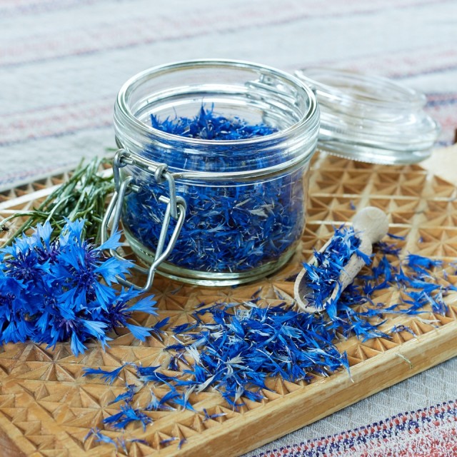 BŁAWATEK NIEBIESKI SUSZONE PŁATKI CHABER jadalne kwiaty 10g kwiat bławatka