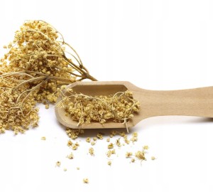 Kwiat czarnego bzu suszony herbata ziołowa czarny bez 50g