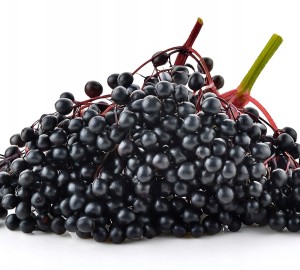 CZARNY BEZ suszony owoc cały 50g produkt polski