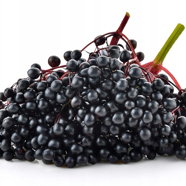 CZARNY BEZ suszony owoc cały 50g produkt polski