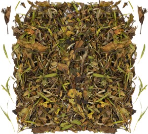 Pai mu Tan z bambusem