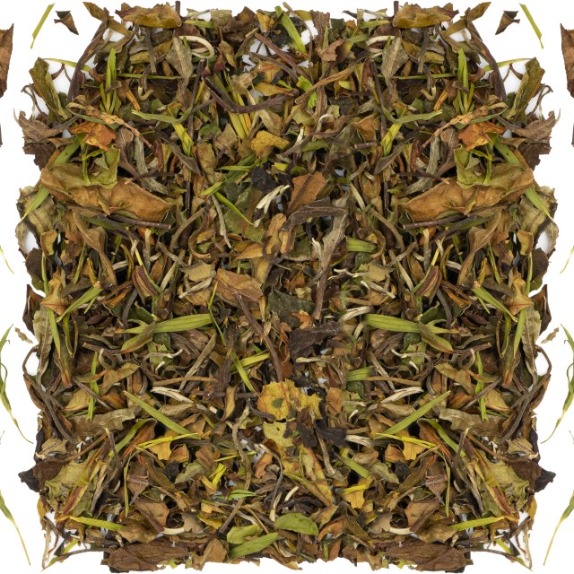 Pai mu Tan z bambusem