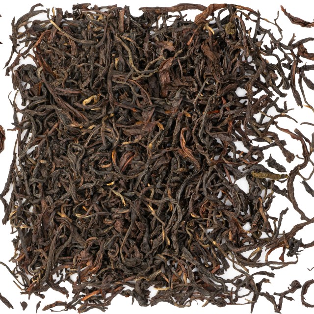 Kenia oolong wielkolistna